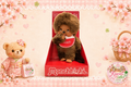 Rare Dark Skin Monchhichi Classic Boy 20cm – Boxed Sekiguchi Doll