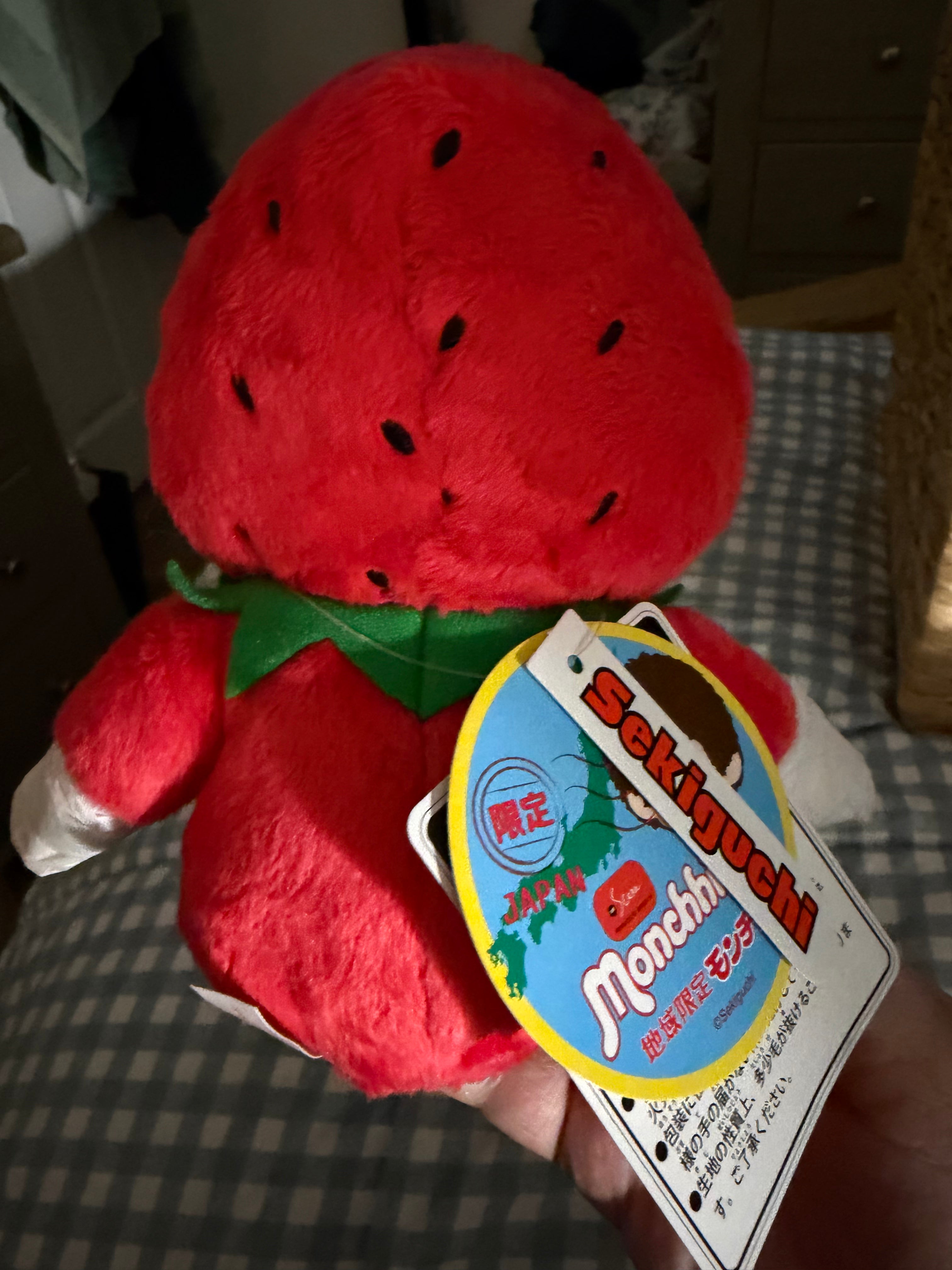 Fukuoka Amaou Strawberry Monchhichi - Authentic Sekiguchi Japan Regional Limited
791682