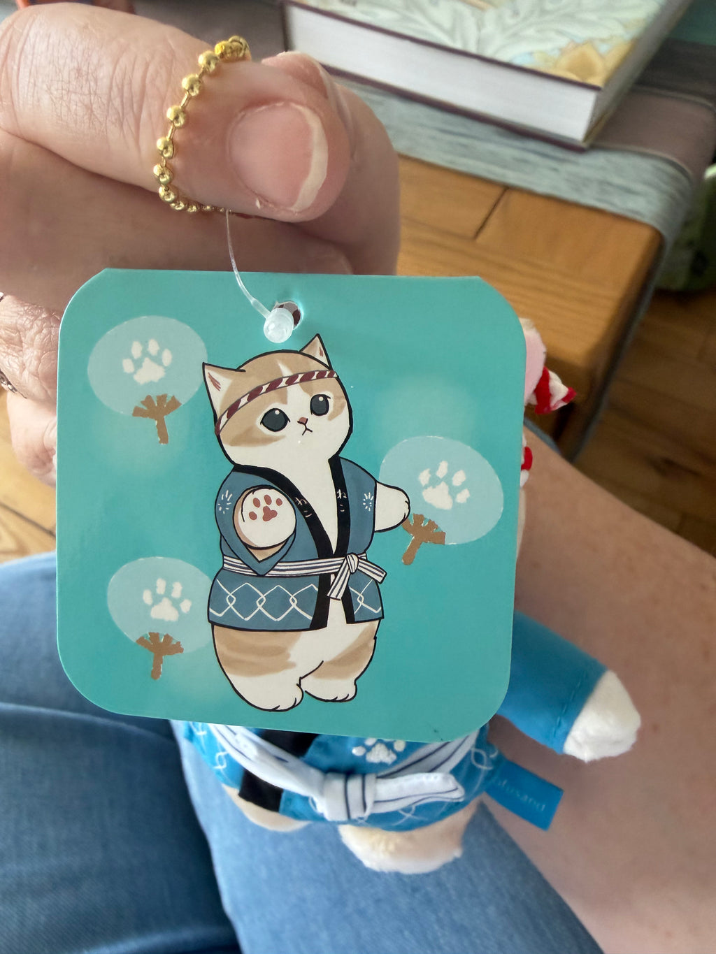 Mofusand Japanese Festival Cat Mascots Red & Blue | Kawaii Aisle