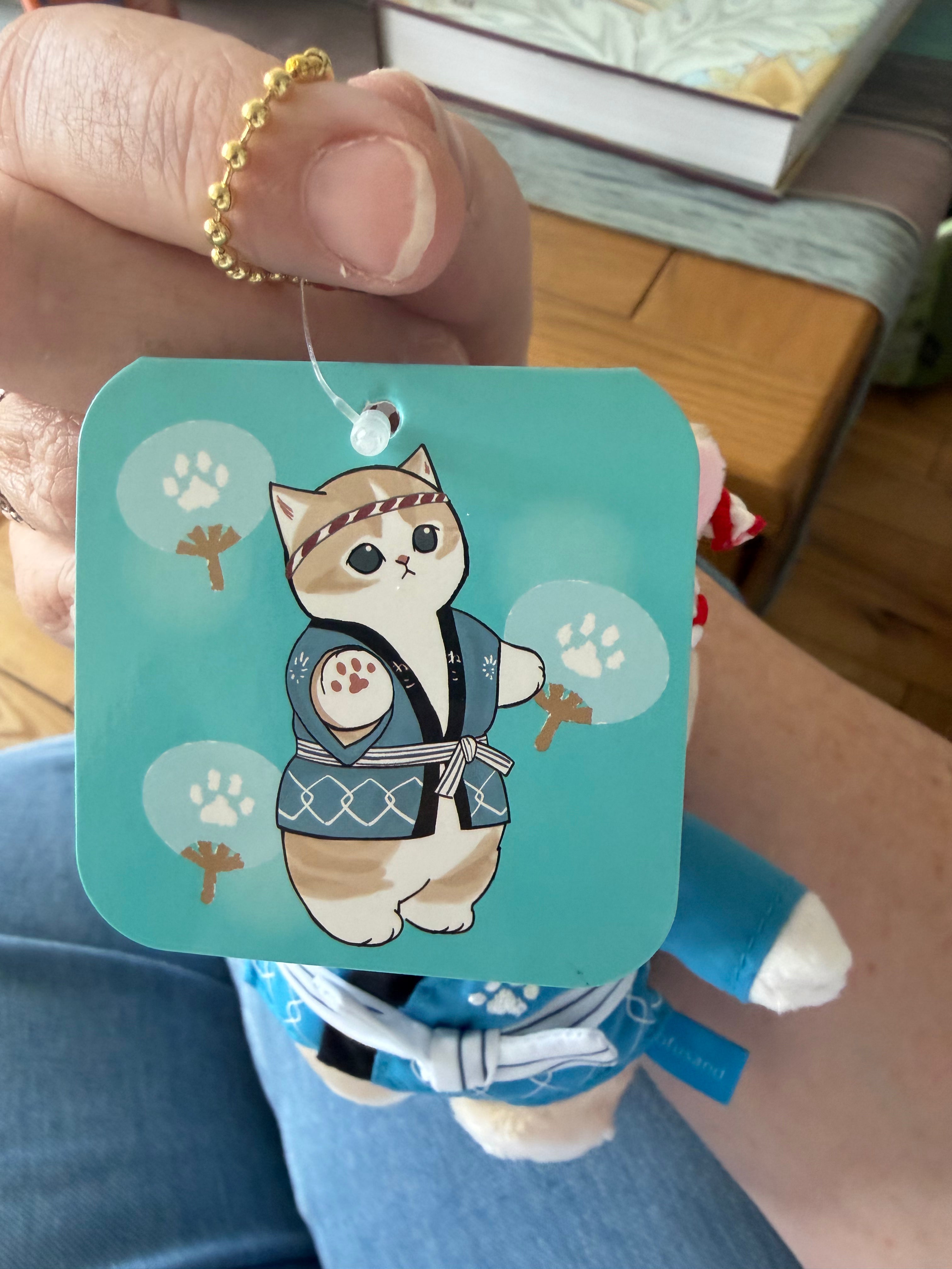 Mofusand Japanese Festival Cat Mascots Red & Blue | Kawaii Aisle